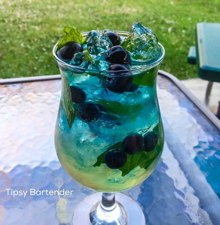 BLUEBERRY MINT Cocktail